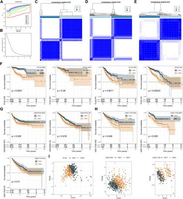 Constructing a cancer stem cell related prognostic model for predicting immune landscape and drug sensitivity in colorectal cancer